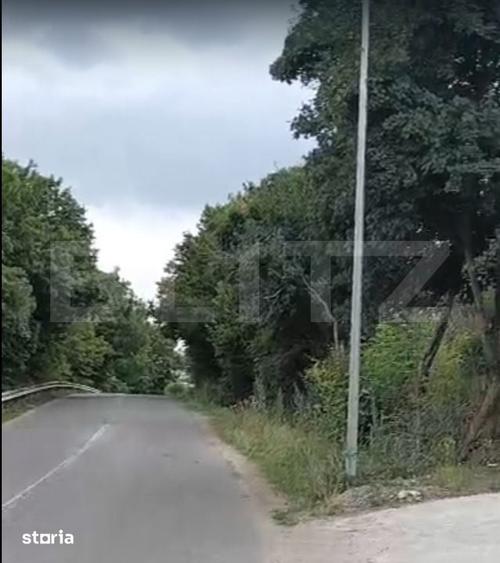 Oportunitate! Teren intravilan autorizabil 1100 mp, front 25 m, Baciu- - 3