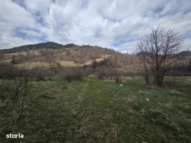 Spațiu comercial, de 560 mp, în Tulgheș