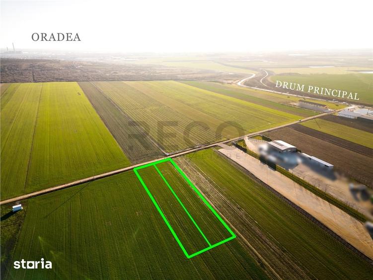 Teren de 5500 mp, în Biharia