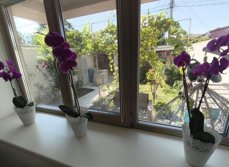Casă individuală cu 3 camere cu Canalizare în Coiciu