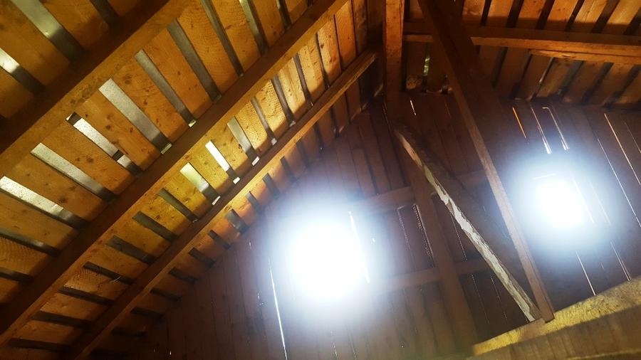 Casă individuală cu 4 camere cu Teren 4800 Mp în Cornu