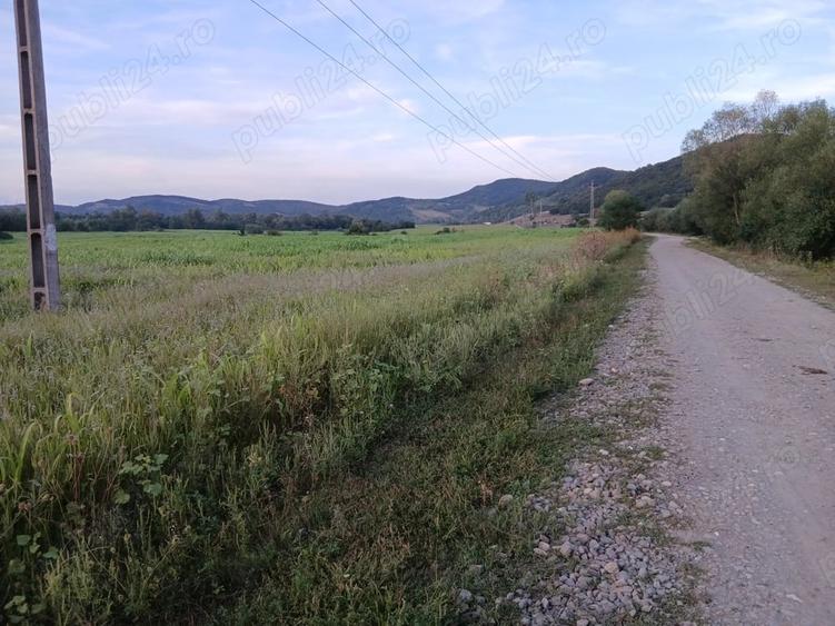 Teren de 30000 mp, în Lupoaia