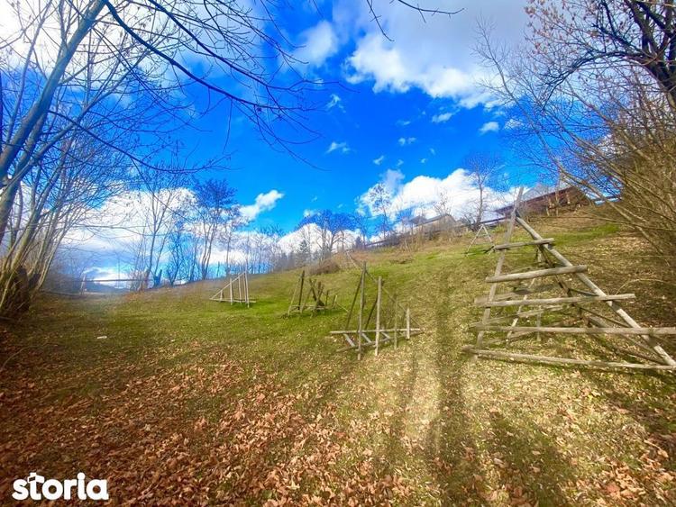Teren de 1135 mp, în Valea Doftanei