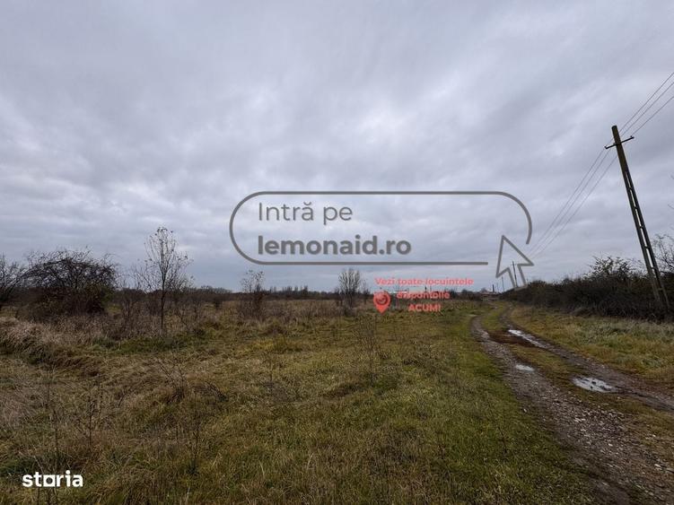 Spațiu comercial, în Șag