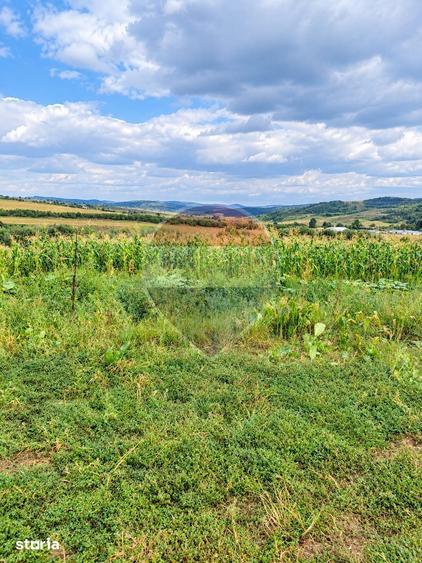 Teren de 5347 mp, în Traian