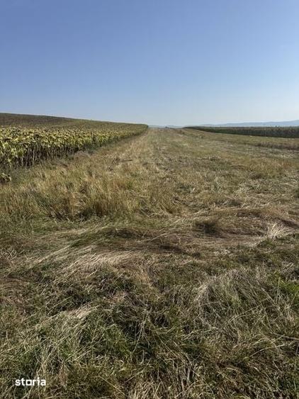 Teren de 5000 mp, în Mircea Vodă