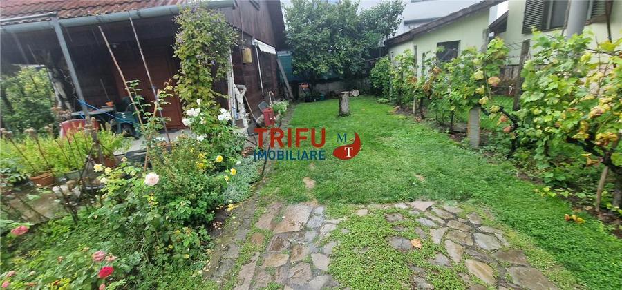 Teren Construcții intravilan de 500 mp, în Ampoi 1