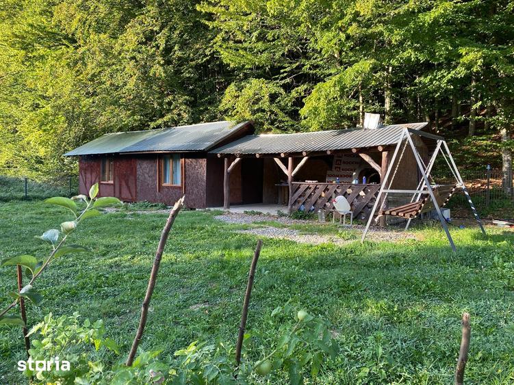 Teren de 850 mp, în Dumbrăvița