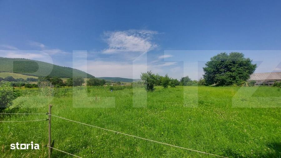 Casă cu 9 camere cu Teren 36000 Mp în Central