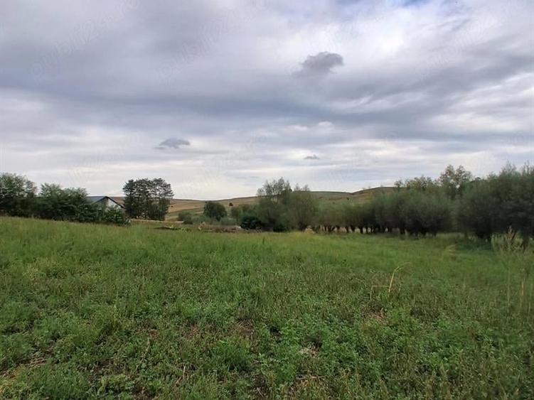 Casă individuală cu 4 camere cu Teren 1900 Mp în Horodniceni