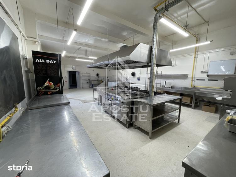 Spațiu comercial, de 135 mp, în Elisabetin