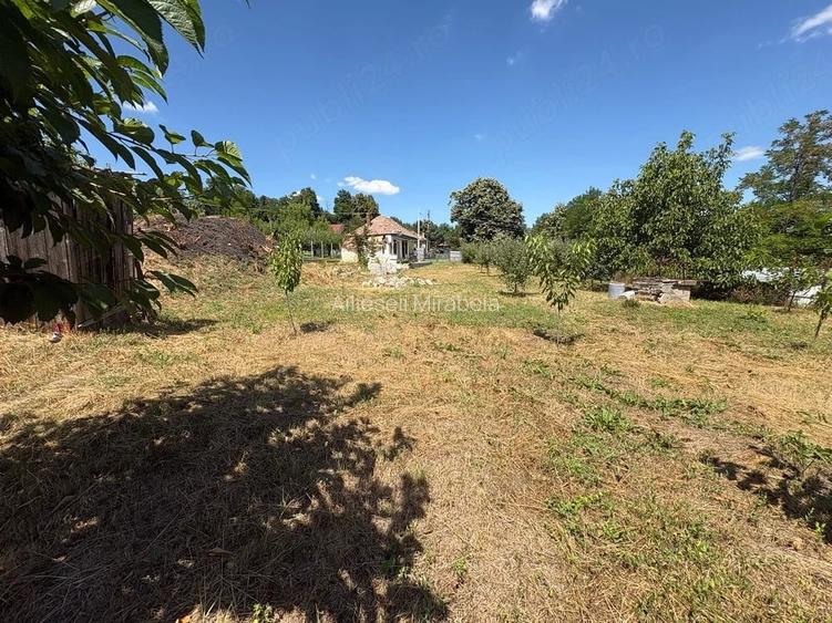 Teren de 1400 mp, în Răducăneni