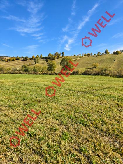 Teren intravilan de 2425 mp, în Barcani