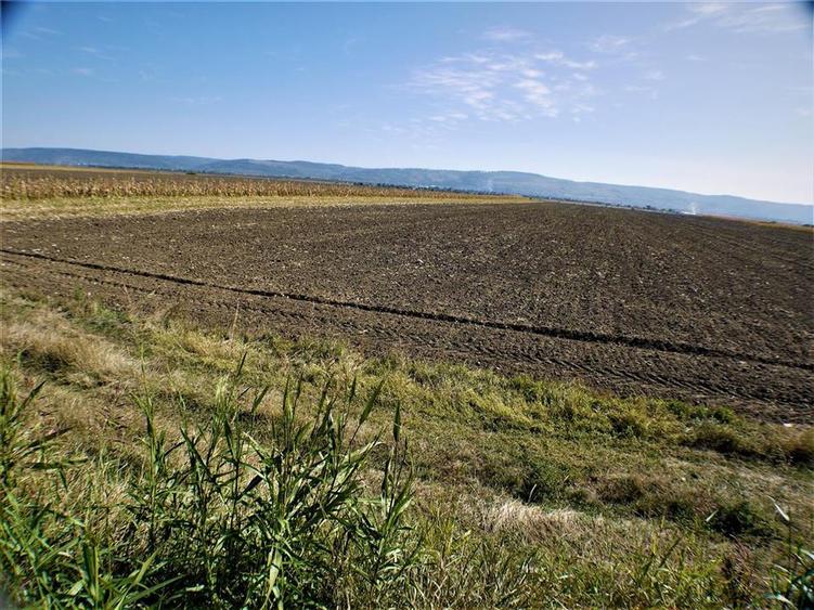Teren intravilan de 1800 mp, în Nicolae Bălcescu
