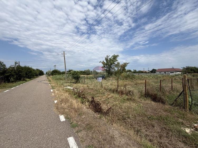 Teren Construcții intravilan de 1250 mp, în Călienii Noi