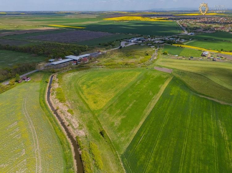 Teren agricol extravilan de 18000 mp, în Turnu