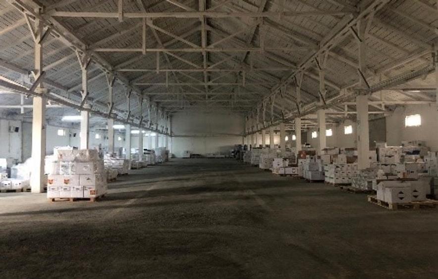 Proprietate specială, 8.626 mp în Sagna