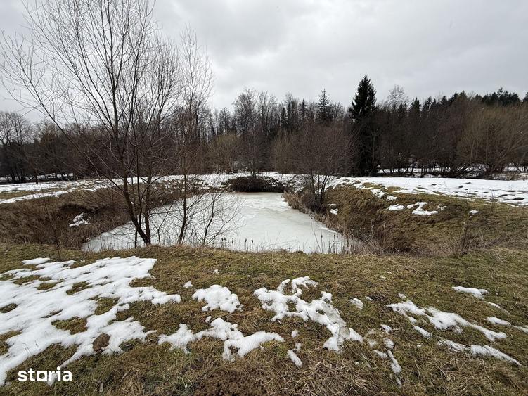 Teren de 3600 mp, în Horodnic