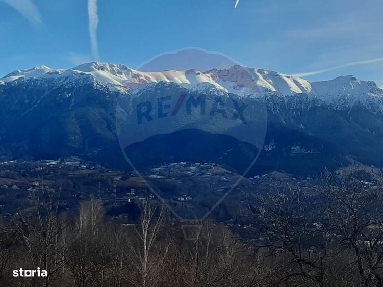 Ocazie! Teren 2885 mp Bran- Predelut / Strada Pe Tarina nr. 70A - 16