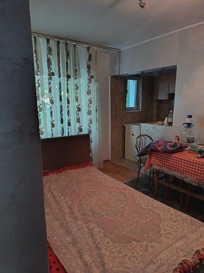 Apartament cu 2 camere semidecomandat în Bahne
