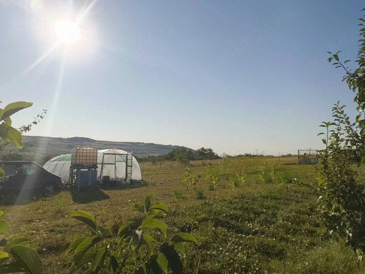 Vand teren extravilan dealul fana?elor 1095 mp sau parcelat 500 mp. - 2