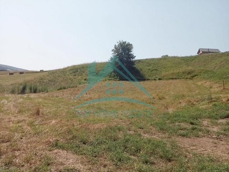 Teren Construcții intravilan de 3000 mp, în Corușu
