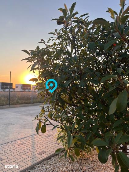 Casă cu 4 camere cu Teren 400 Mp în Dascălu
