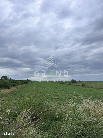 Teren intravilan 5.700 mp | Copaceni, Cluj | DN1 | - 1