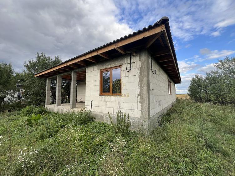 Casă cu 3 camere cu Teren 3800 Mp în Peleș