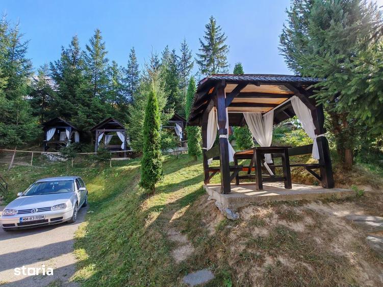 Casă cu Teren 2600 Mp în Moisei