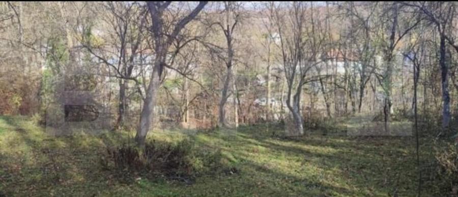 Teren Construcții intravilan de 4363 mp, în Fieni