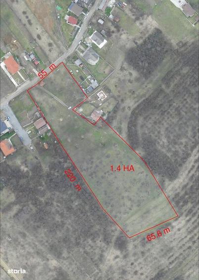 1.4 HA INTRAVILAN - Str. Sofiei - Nymphaea - IMOBIHOR - 6