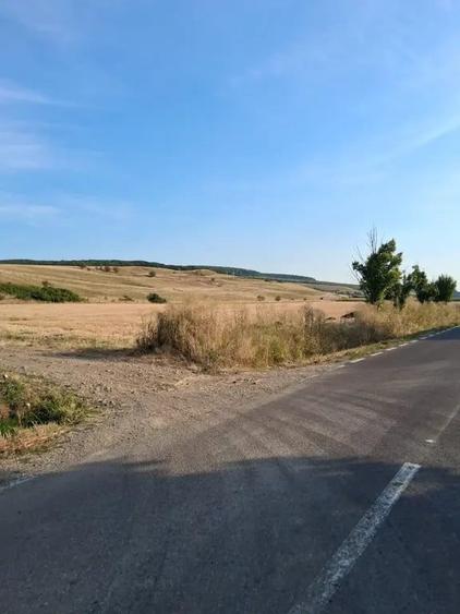Teren de 2000 mp, în Petelea