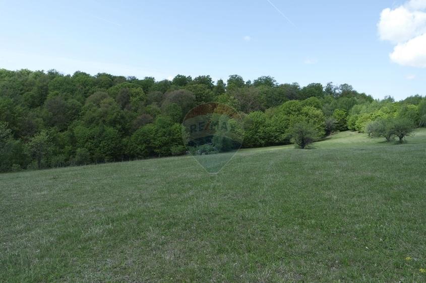 Teren extravilan de 15726 mp, în Preluca Nouă