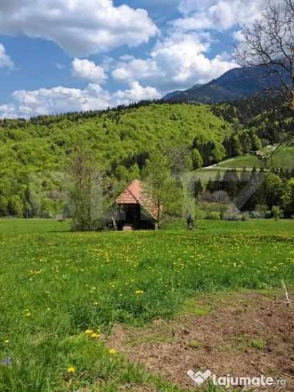 Teren de 3400 mp, în Bran