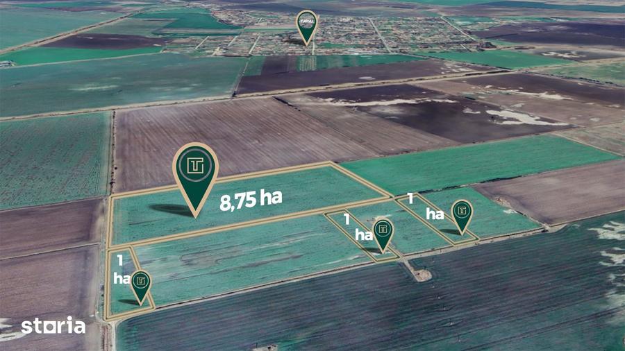 Teren de 117500 mp, în Central