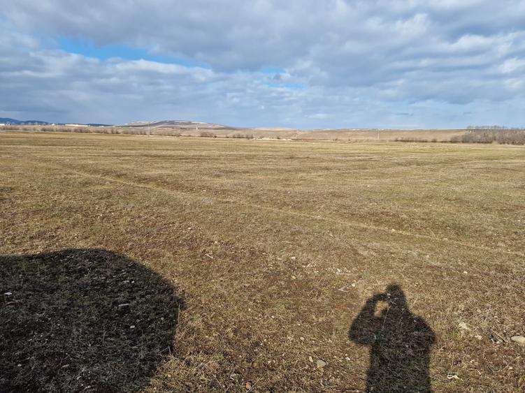 Teren agricol extravilan de 10000 mp, în Est
