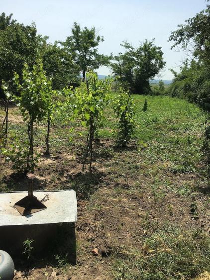 Casă cu 4 camere cu Teren 1600 Mp în Central