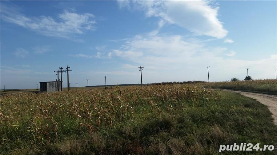 Teren agricol zona Gradinari langa balta Hobaia - Accept Schimburi - 5