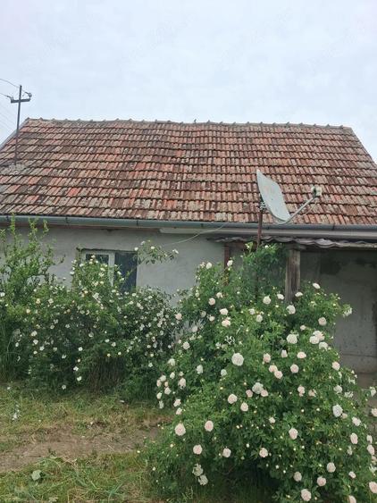 Casă cu 2 camere cu Teren 1090 Mp în Central