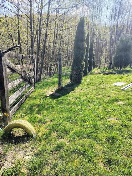 Teren de 531 mp, în Sibiel