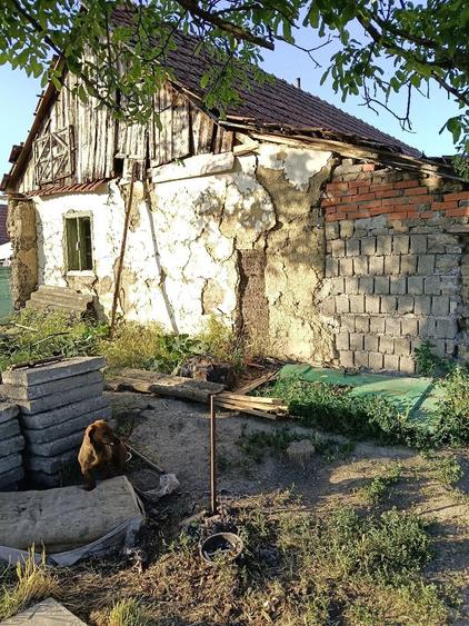 Case de vinzare - 5