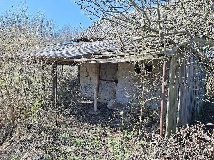 Teren de 2600 mp, în Dobrușa