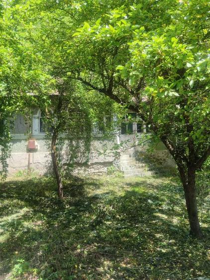 Casă cu Teren 4835 Mp în Central