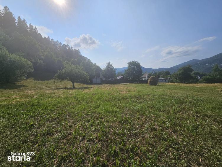 Teren de 1000 mp, în Alexandru cel Bun