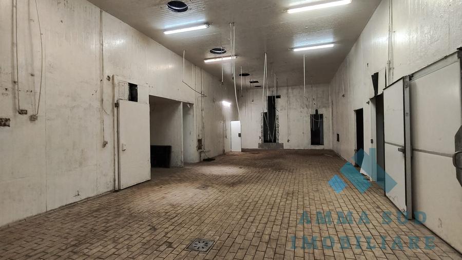 Spațiu industrial, de 1,000 mp, în Popești-Leordeni