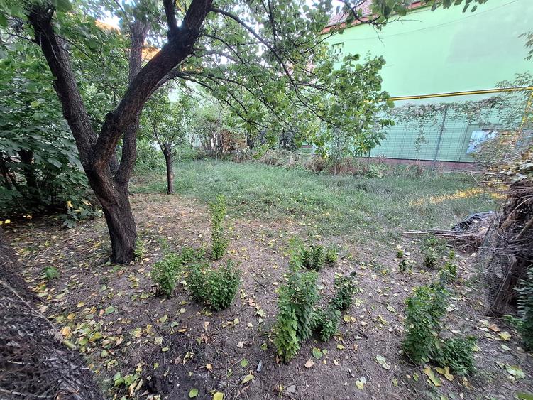 Casă individuală cu 3 camere cu Canalizare în Șagului