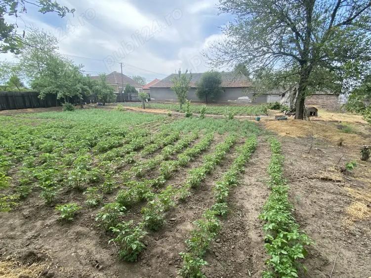 Casă cu 2 camere cu Teren 1339 Mp în Zimandu Nou
