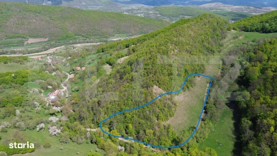 Spațiu comercial, în Pădure