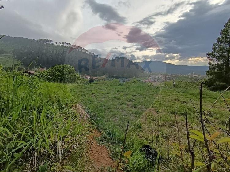 Teren Construcții intravilan de 850 mp, în Turcheș